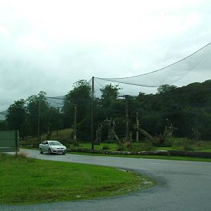 Vulture Venue aviary at Longleat August 2008