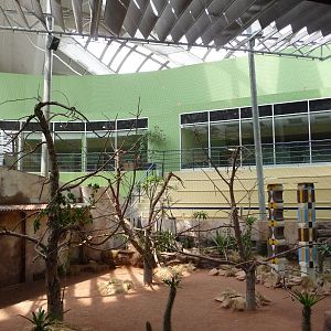 Montreal Biodome - Ring-tailed Lemur Exhibit