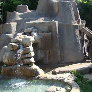 American Black Bear exhibit at the Los Angeles Zoo
