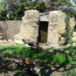 Giant Antearter exhibit at the Santa Barbara Zoo