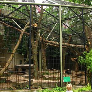 Jaguar Exhibit