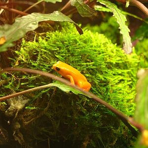 Nausicaa Sea Life Centre