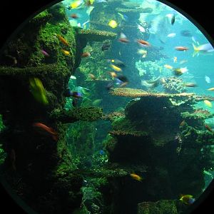 Nausicaa Sea Life Centre