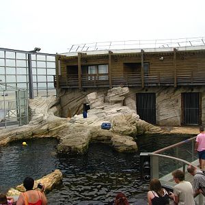 Nausicaa Sea Life Centre