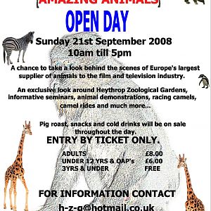 open day poster