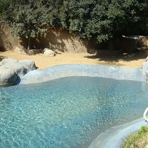 Hippo exhibit at the Los Angeles Zoo