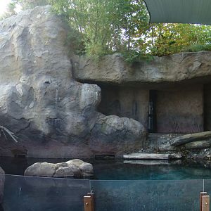Sea Life Cliffs at the Los Angeles Zoo