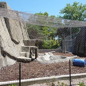 Toledo Zoo - Tiger Exhibit