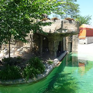 Toledo Zoo - Penguin Exhibit