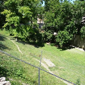 Toledo Zoo - Cheetah Exhibit