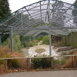 Golder's Hill Park Zoo, London