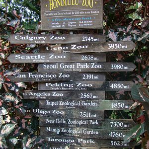 Zoo sign at the Honolulu Zoo
