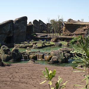 bioparc landscapes enclosures