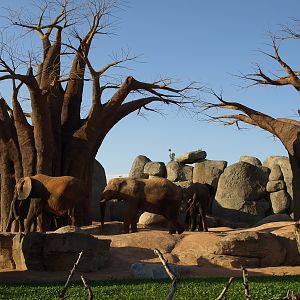 bioparc landscapes enclosures