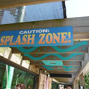 Toledo Zoo - Orangutan Exhibit