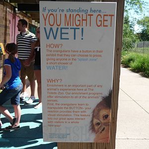 Toledo Zoo - Orangutan Exhibit