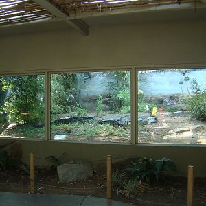 Dragons of Komodo exhibit at the Los Angeles Zoo