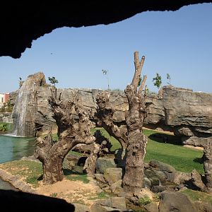 landscapes from bioparc