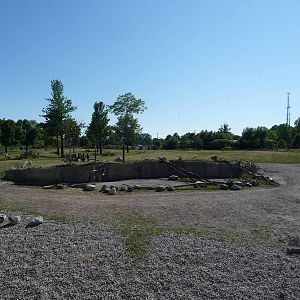 Toledo Zoo - Africa!