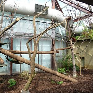 Toronto Zoo - Tree Kangaroo Exhibit