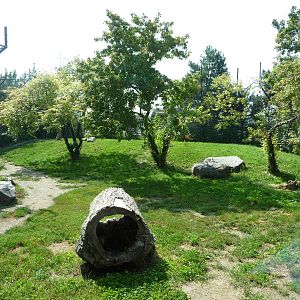 Toronto Zoo - Tiger Exhibit