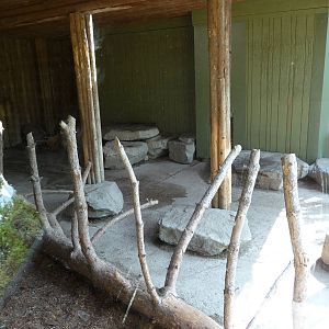 Toronto Zoo - Tiger Exhibit
