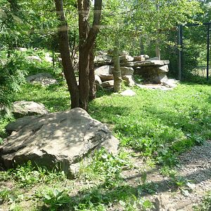 Toronto Zoo - Snow Leopard Exhibit