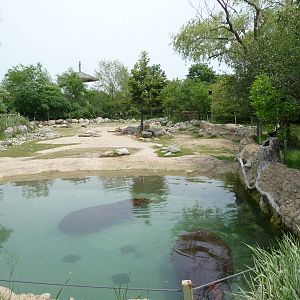 Toronto Zoo - Hippo Exhibit
