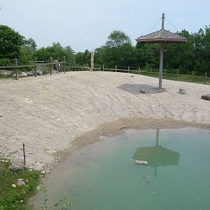 Toronto Zoo - Elephant Pool