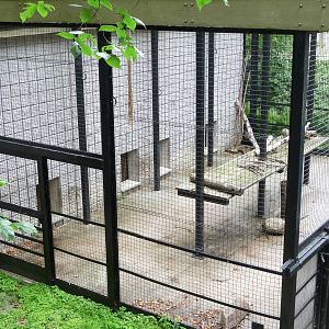 Toronto Zoo - Tiger Exhibit