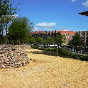 African Savannah exhibit Artis August 2010