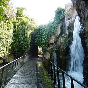 Waterfall on scimitar-horned oryxes exhibit Artis August 2010