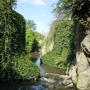 Waterfall on scimitar-horned oryxes exhibit Artis August 2010