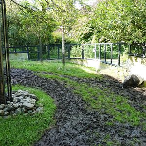 Tapir exhibit outdoor part 1 Artis August 2010