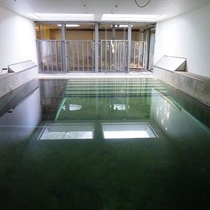 Tapir indoor outdoor part 1 Artis August 2010