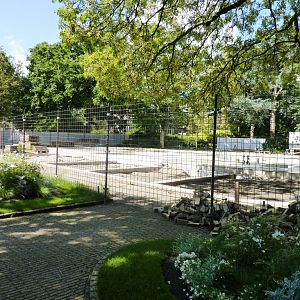 Building a new aviary Artis August 2010