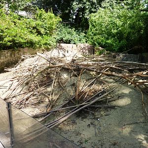 Prairie dog exhibit Artis August 2010