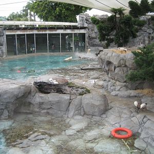 Polar Bear exhibit
