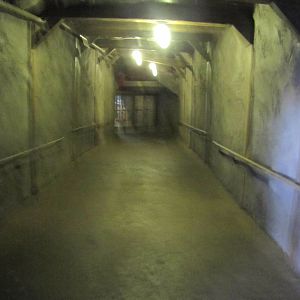 Tunnel to the Underwater Viewing Area