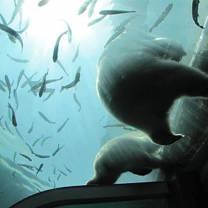 Top part of the viewing window