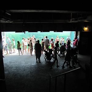 Everyone Packed Together