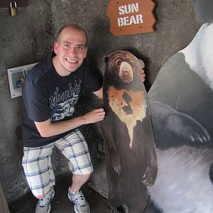 Wall of the Bears of the World