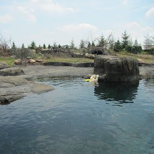 View from the Center Window