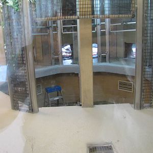 Penguin Holding Area