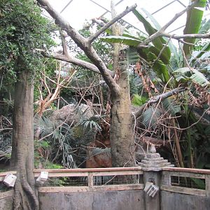 Australian Bird Aviary.