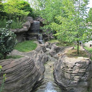 Asian Small Clawed Otter Exhibit