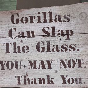 A Sign All Zoos with Gorillas Should Have