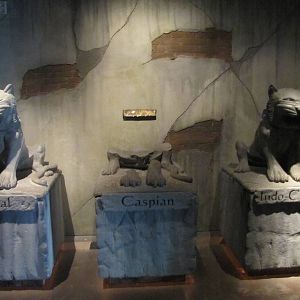 Extinct Tiger Crumbled