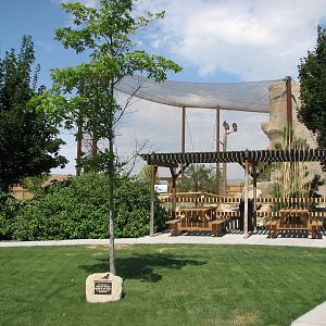 Courtyard - Condor Cliffs