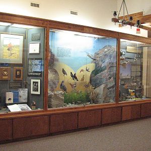Visitor Center - Displays